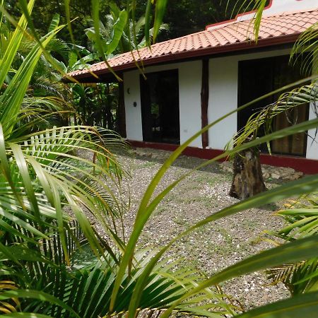 Villas Jungle 5 Sámara Esterno foto