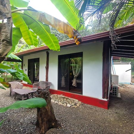 Villas Jungle 5 Sámara Esterno foto