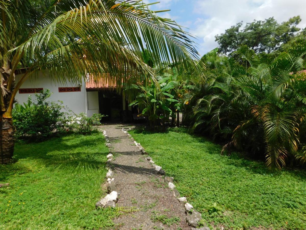 Villas Jungle 5 Sámara Esterno foto