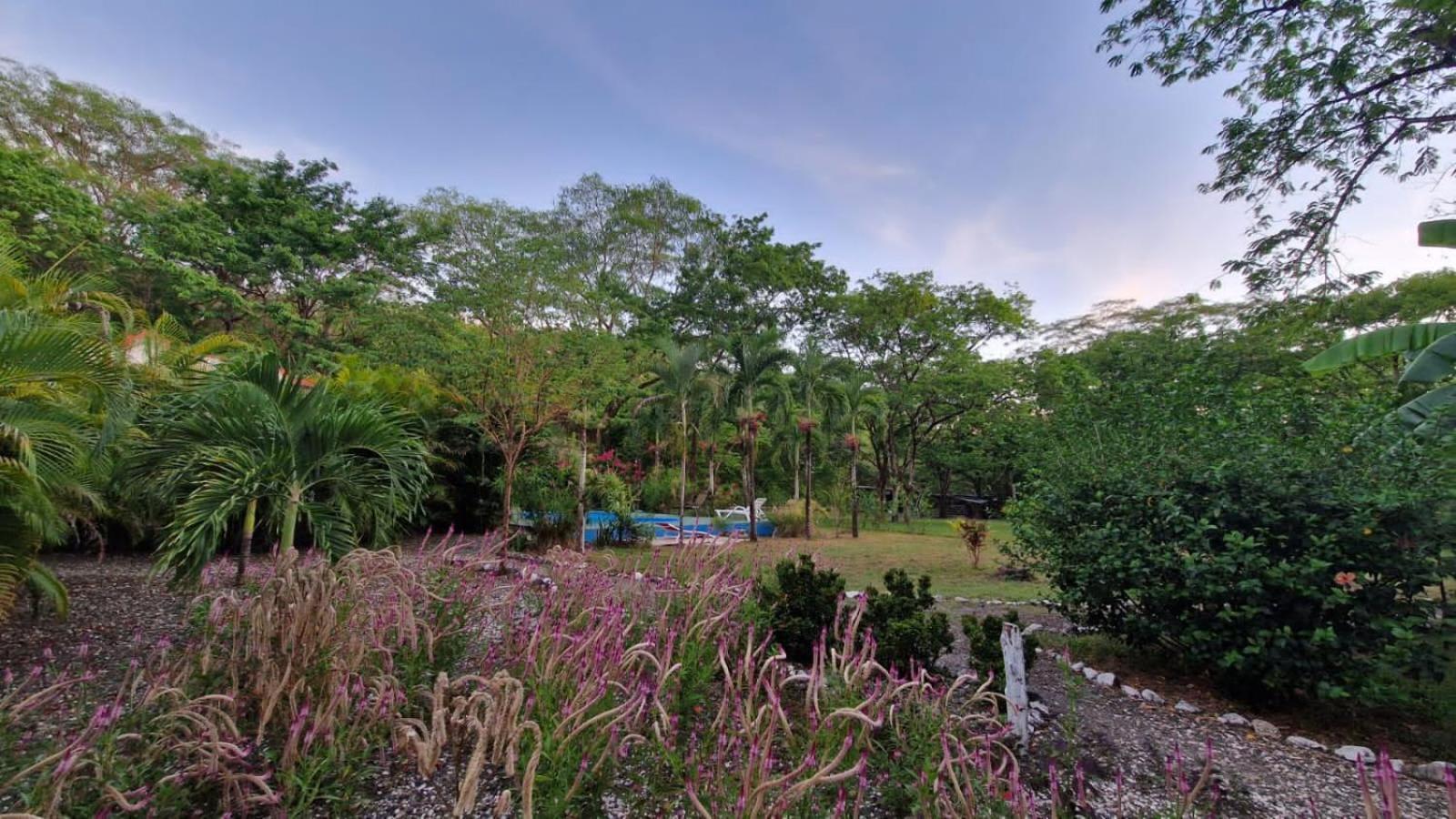 Villas Jungle 5 Sámara Esterno foto