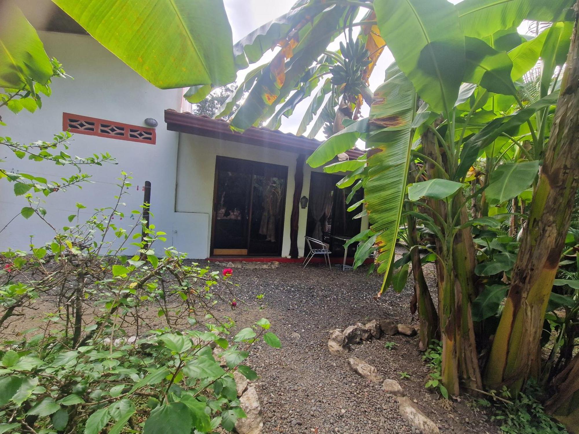 Villas Jungle 5 Sámara Esterno foto