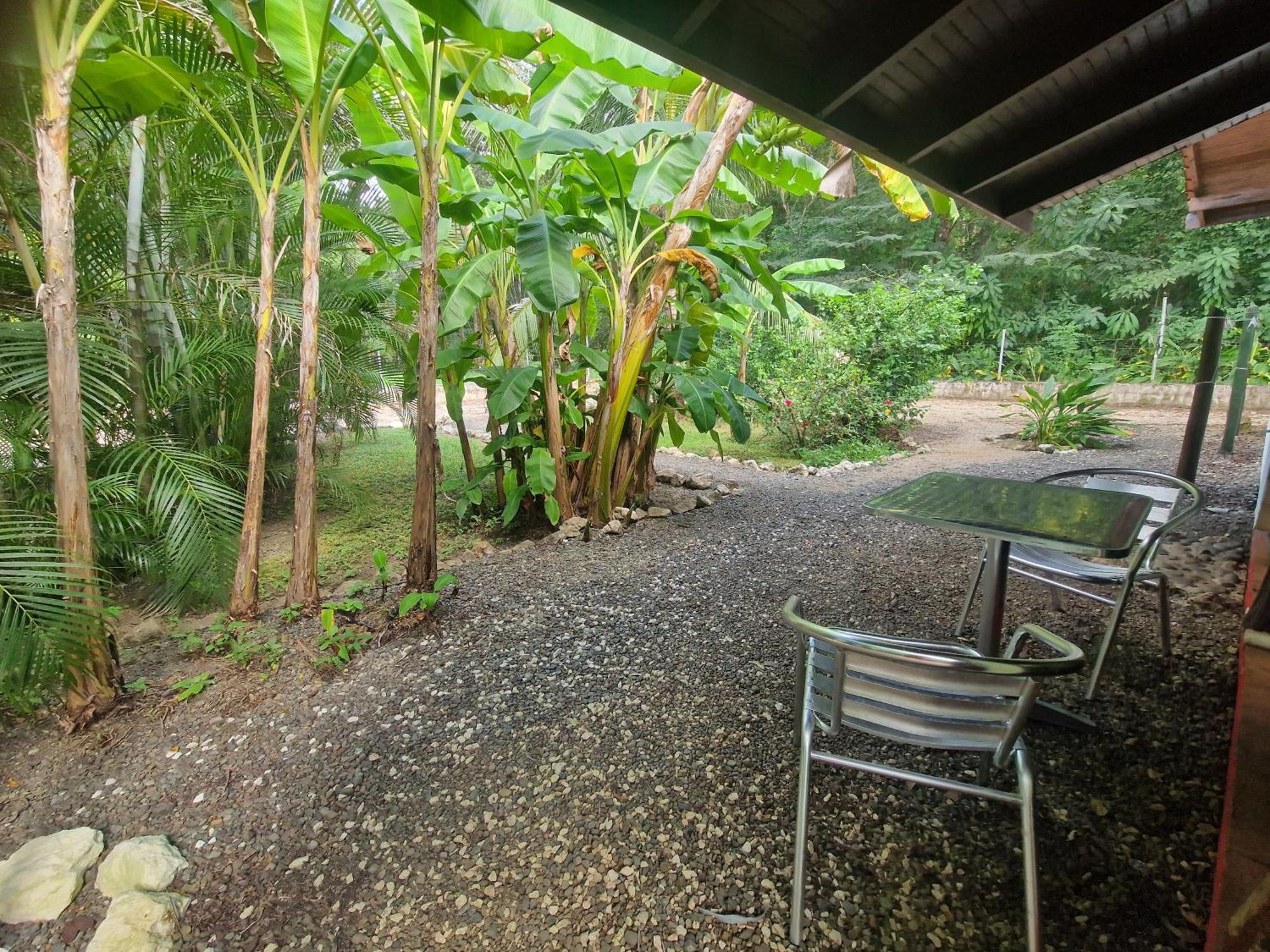 Villas Jungle 5 Sámara Esterno foto
